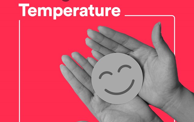 Taking the Temperature 2024 - Wellbeing Survey