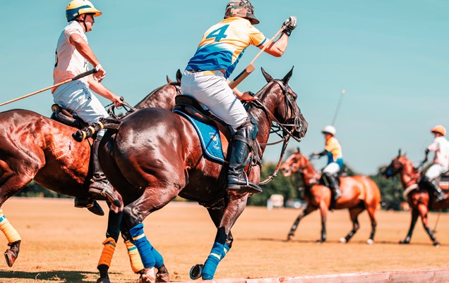 South West Polo Day Gallery