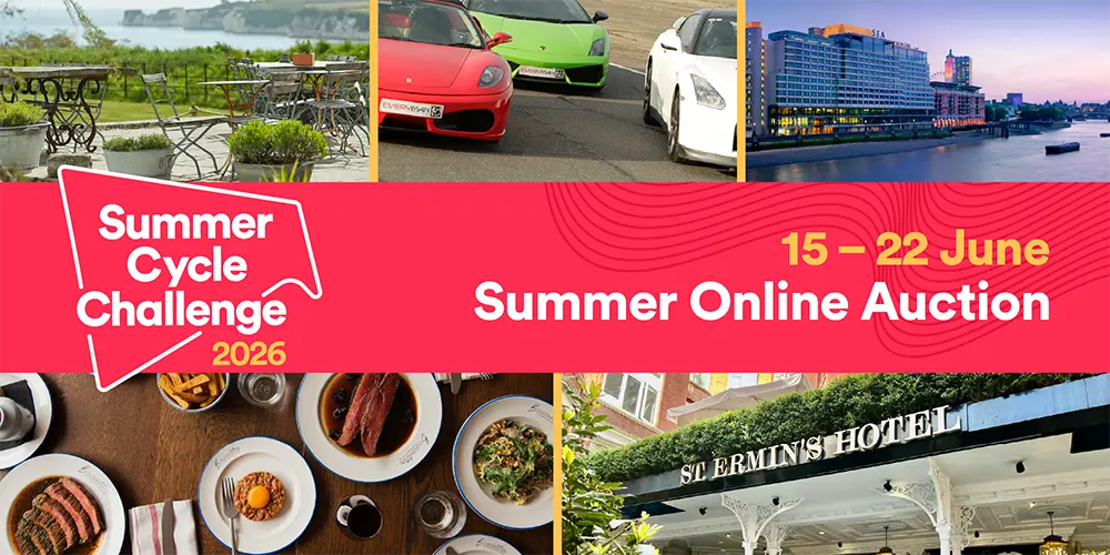 Summer Online Auction